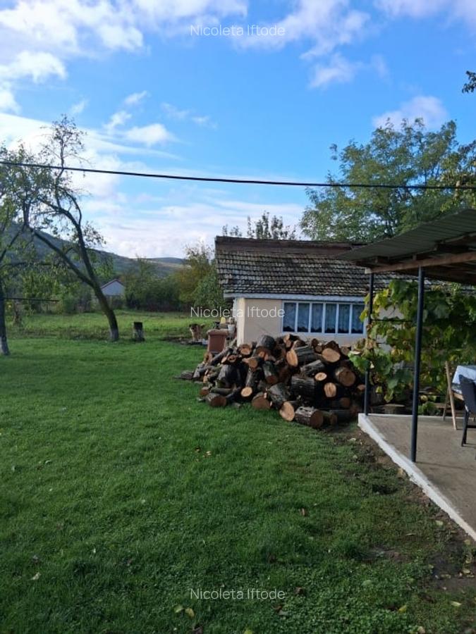 Casa si teren 2000mp Draguseni - 1