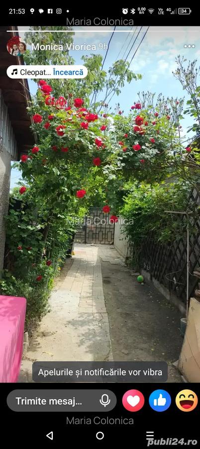 Casa de vanzare 23 August - 3