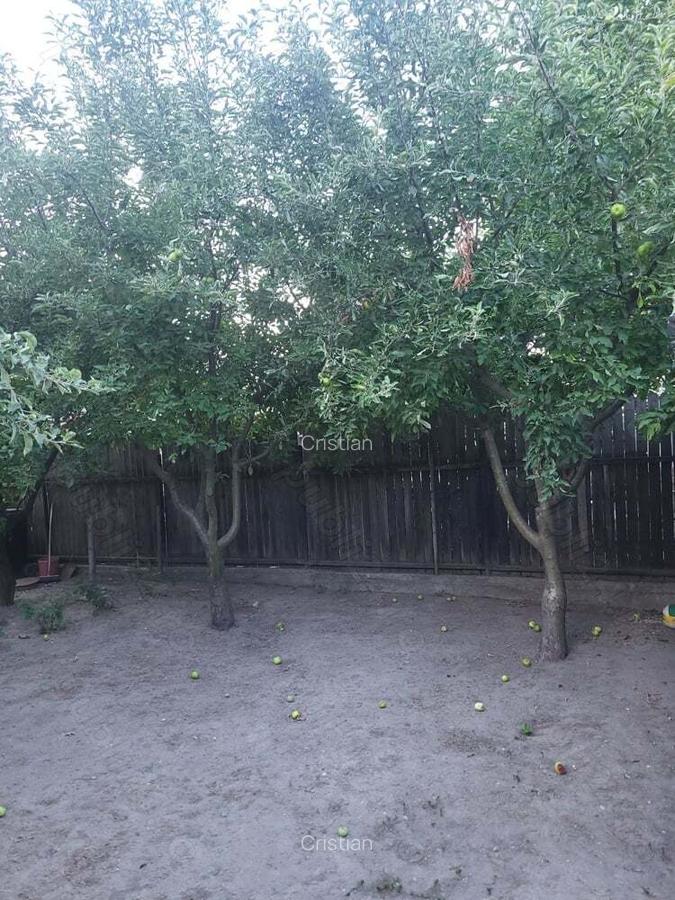 Casa strada Raului - 2