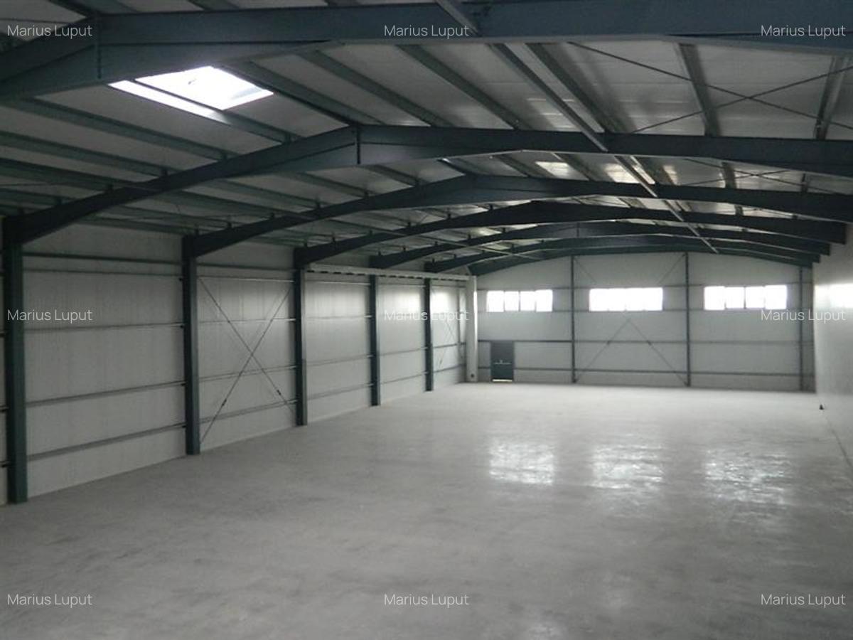 Spațiu industrial, 1000 mp în Torontalului - 8