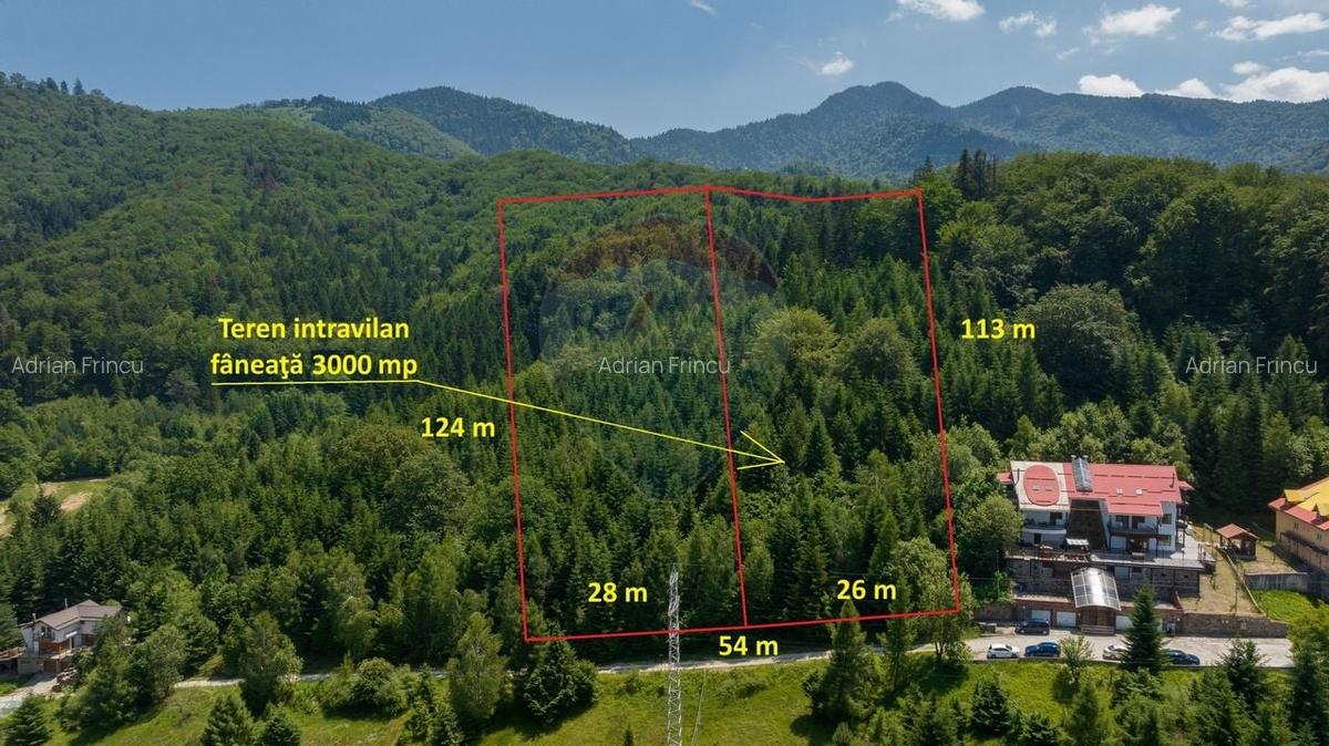 Teren intravilan, 3000 mp, Dambu Morii - 1