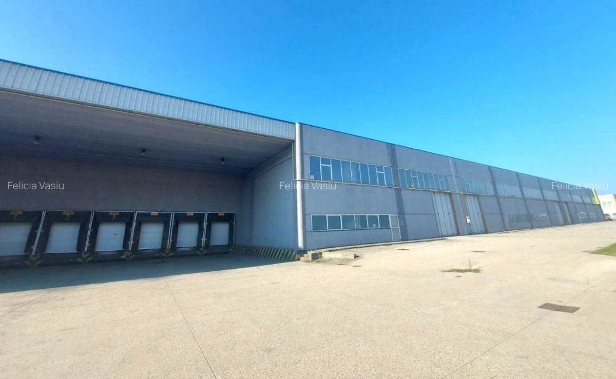 Spațiu industrial, 12876 mp în Sud - 7