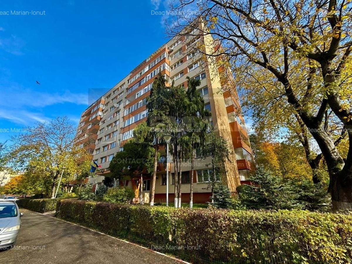 Apartament 2 camere Grigorescu strada Vlahuta - 10