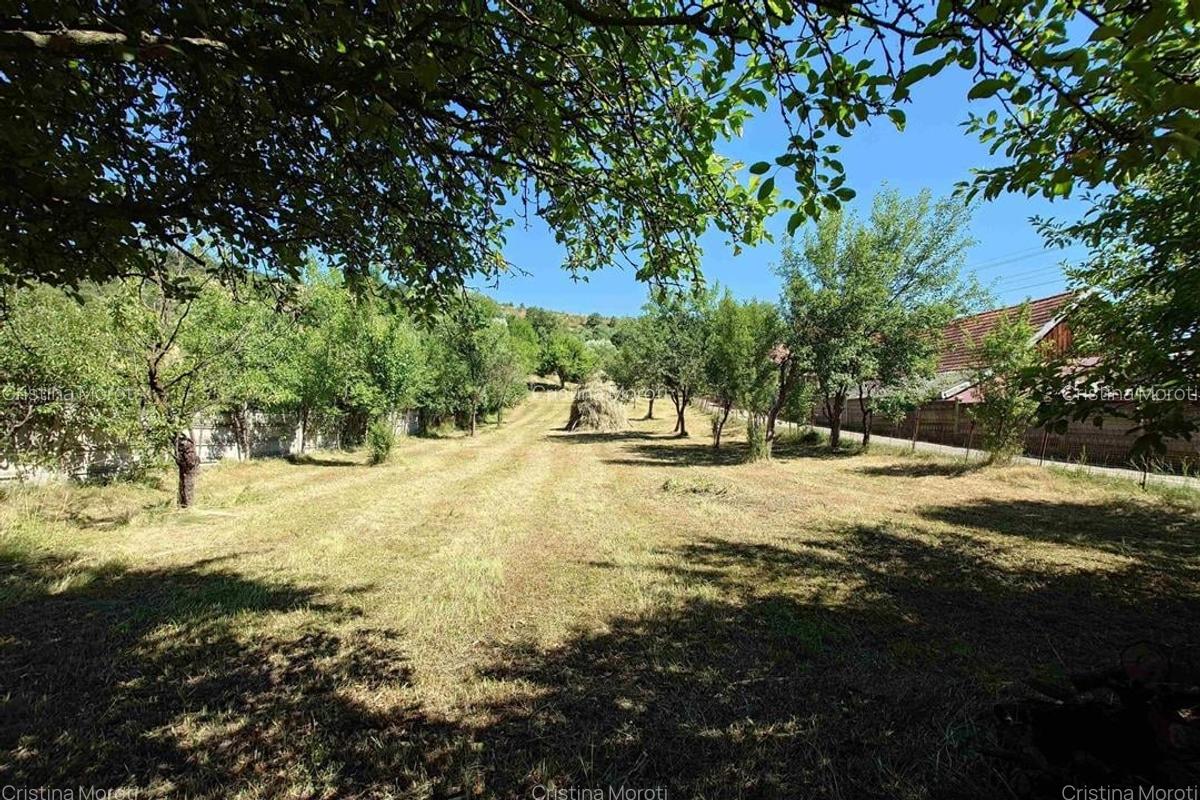 Gospodarie cu teren generos si constructii solide intr-o zona linistita - 3