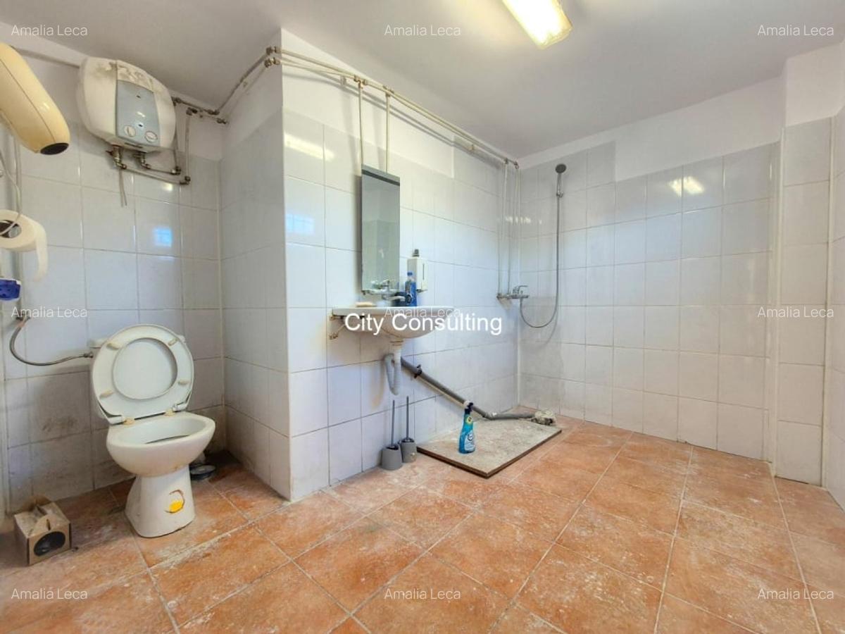 Inchiriere casa Spatiu Comercial Calea Ferentari - 7