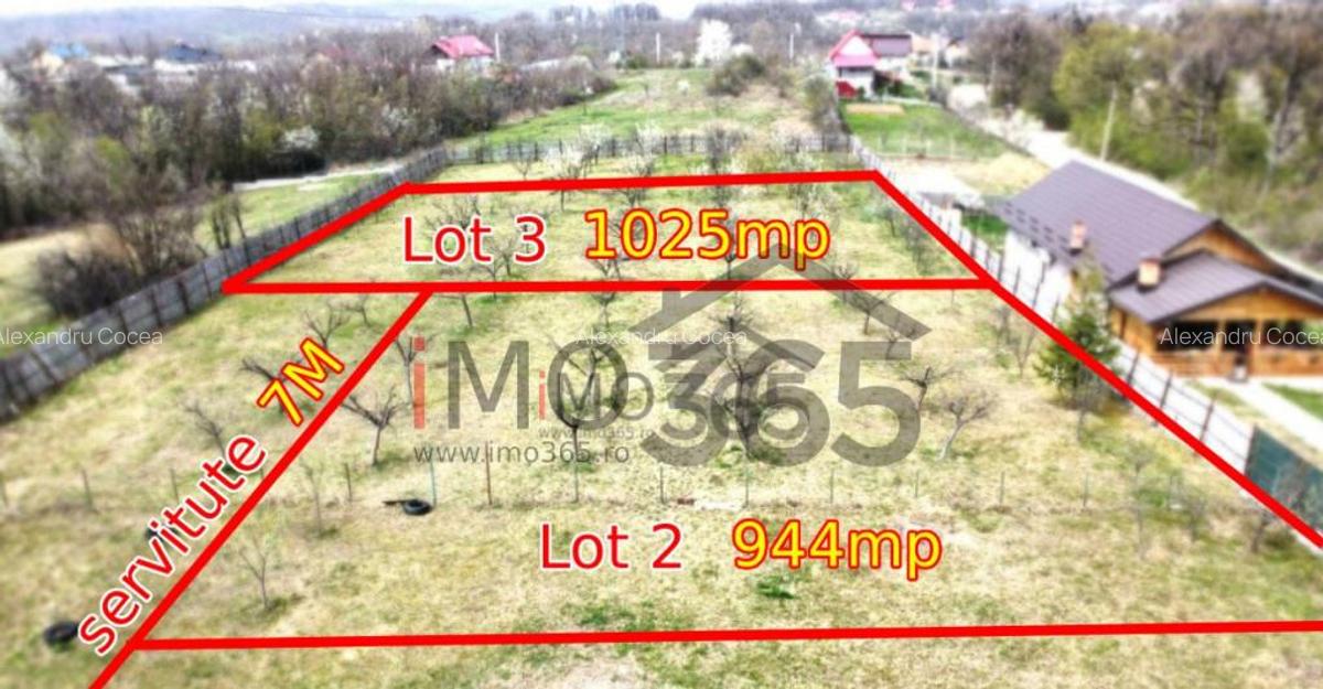 Teren Lupueni - Babana - intravilan 1025mp - 4