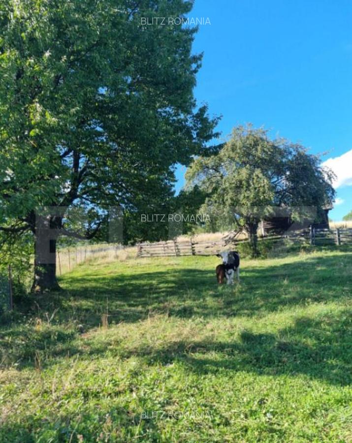 Teren intr-o zona superba din Campulung Moldovenesc - 14