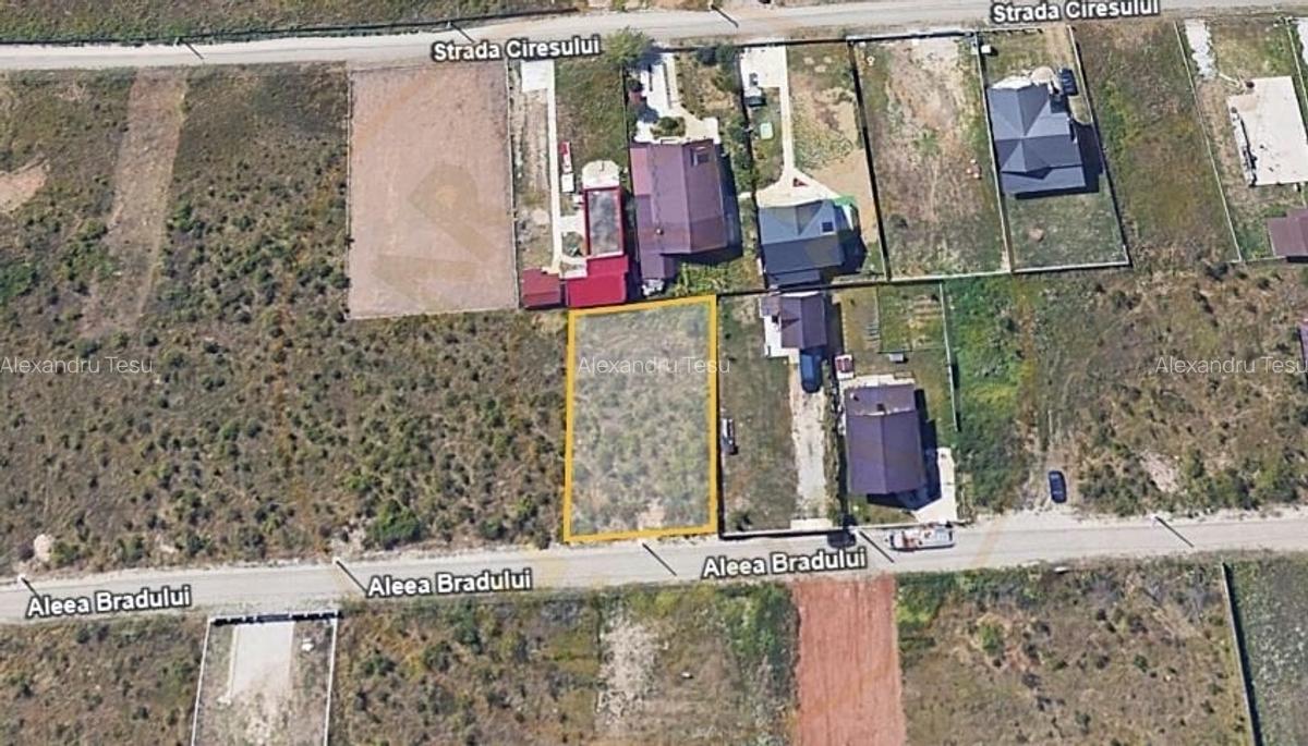 Teren Trivale - Aleea Bradului - Zona excelenta - 1