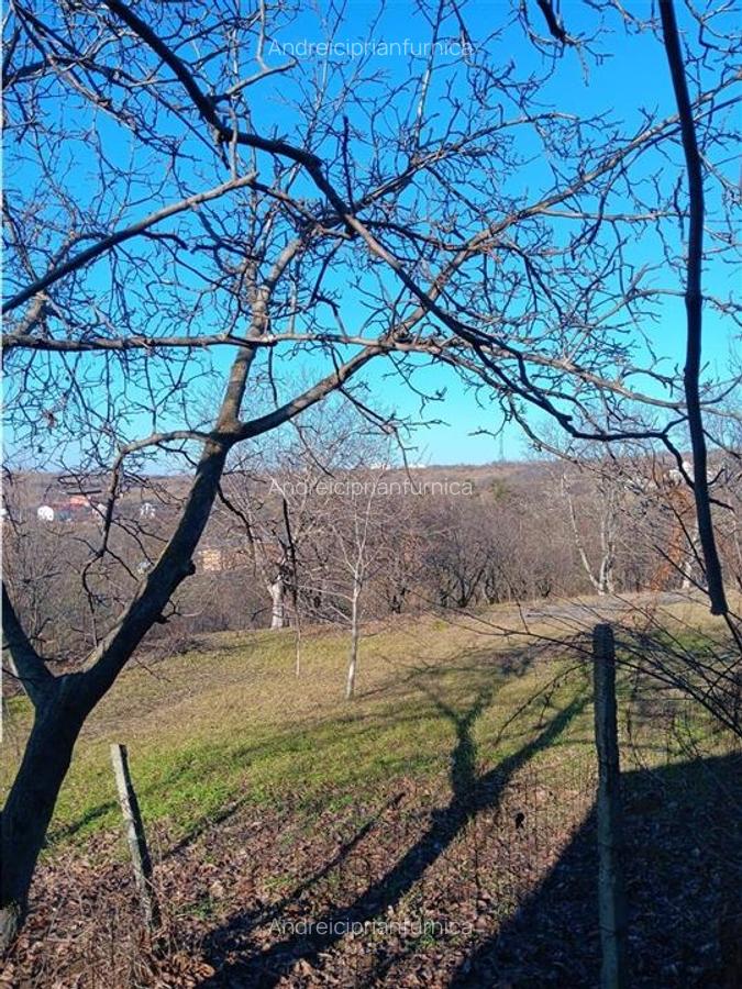 Bucium, Fundac Paun, teren1500mp. intravilan  str asfaltata - 2