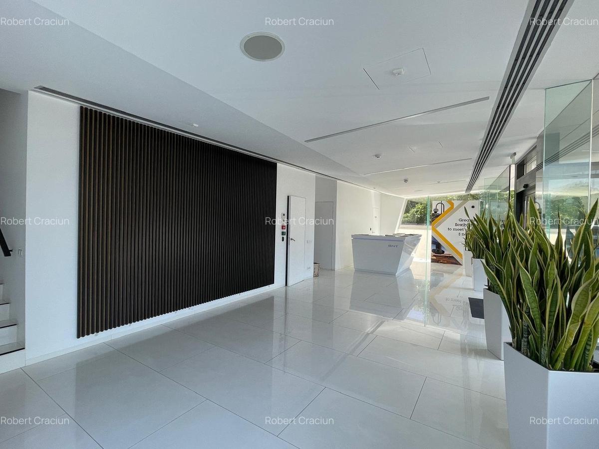 Dristor-Mihai Bravu - spatiu birouri si depozit - 1