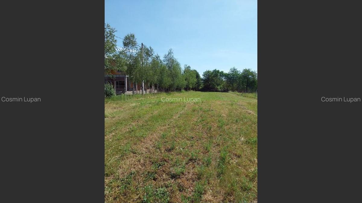 Teren 1942 mp, Baicoi, EUR32.500 - 5