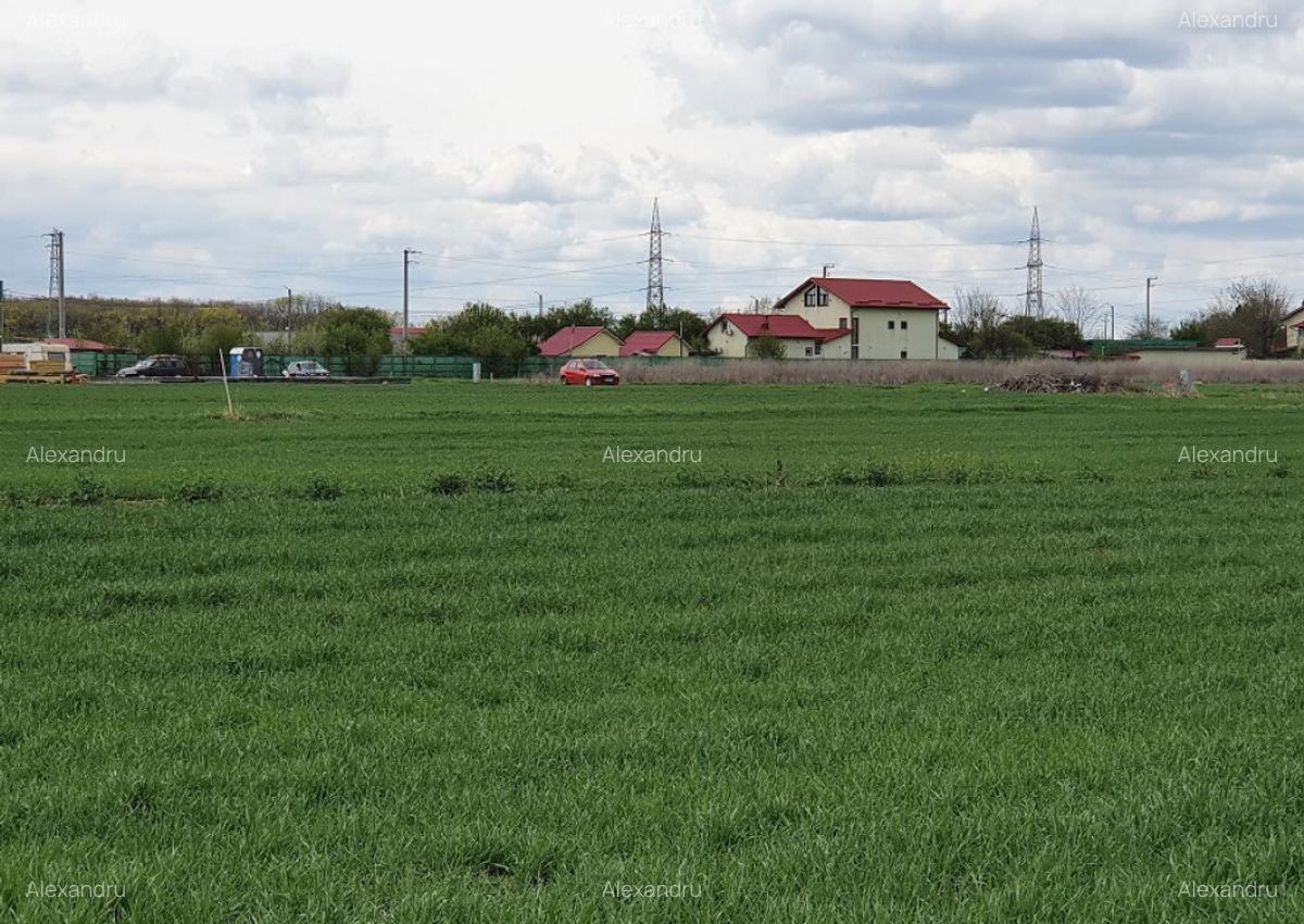 Teren langa padure si utilitati,800 mp,37000 euro - 6