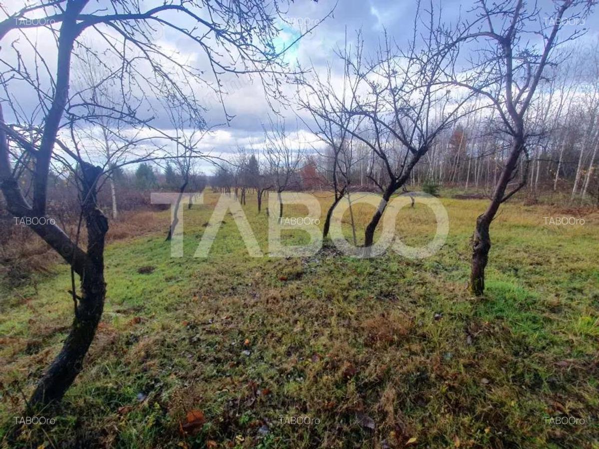 Teren extravilan 1000 mp Statiunea Climaterica Sambata de Sus - 2