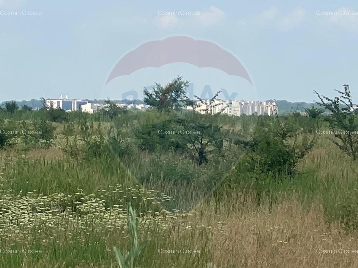 DE VANZARE Teren 5,000mp Sisesti Drumul Piscul Mosului - 24