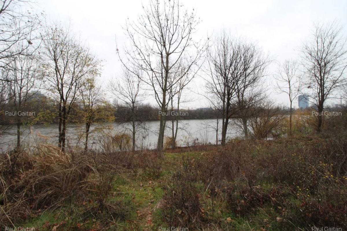 Teren Construcții intravilan de 6000 mp, în Dămăroaia - 18