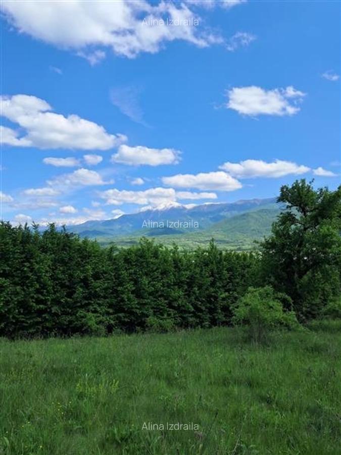 Teren  de vanzare la liziera padurii in Talmaciu - 13