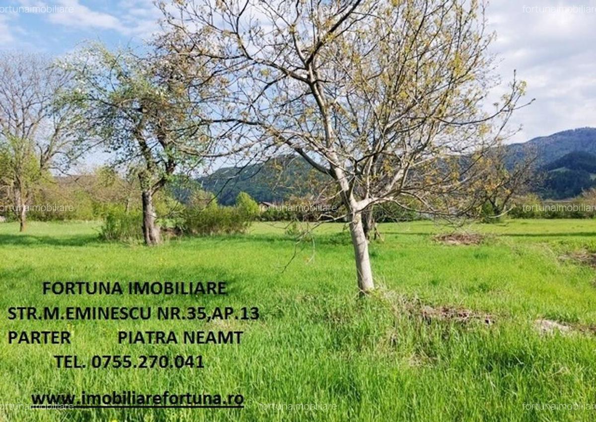 Teren intravilan 1480 mp, Alexandru cel Bun - 1