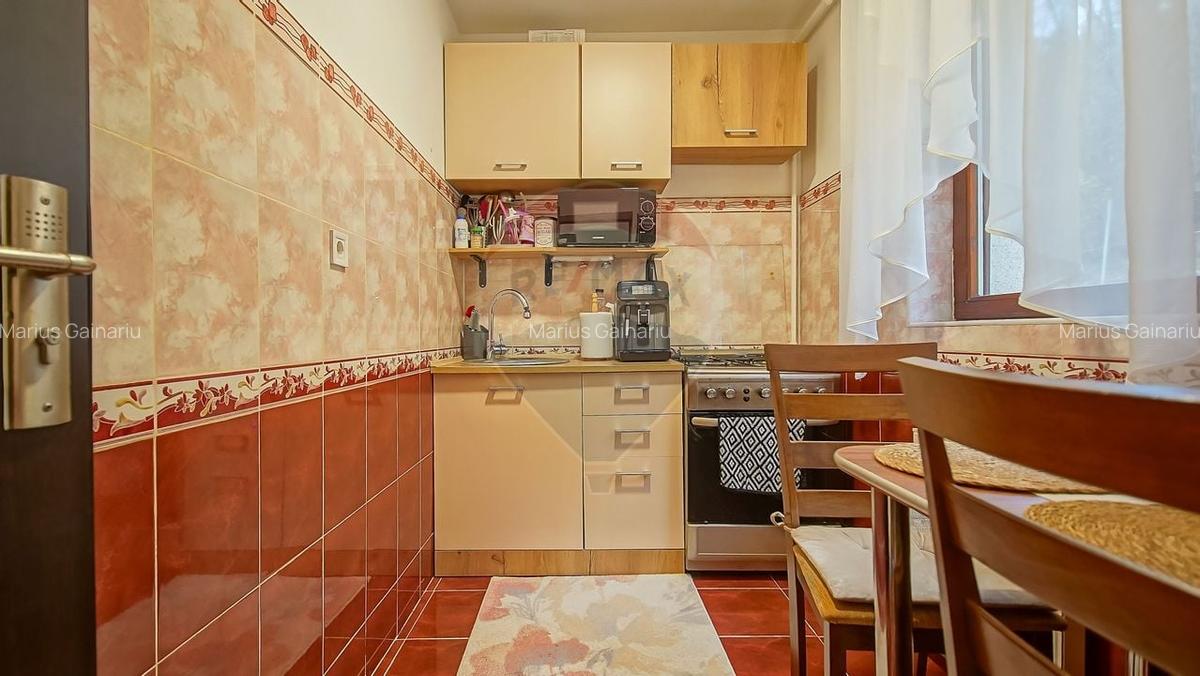 Apartament cochet cu 2 camere de vanzare in Cartierul Noua - 10