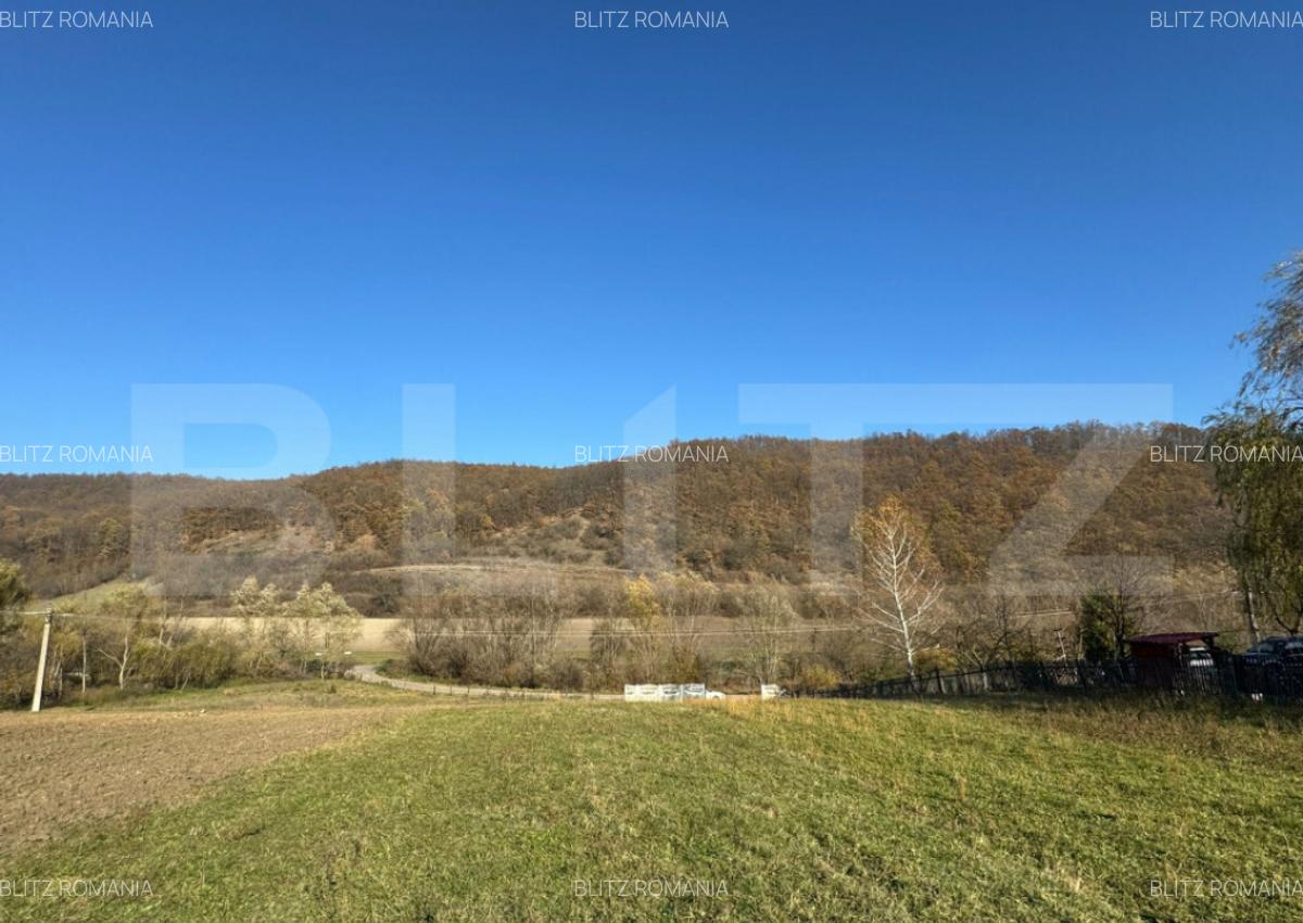 Teren extravilan 2700mp in Carjiti - 1
