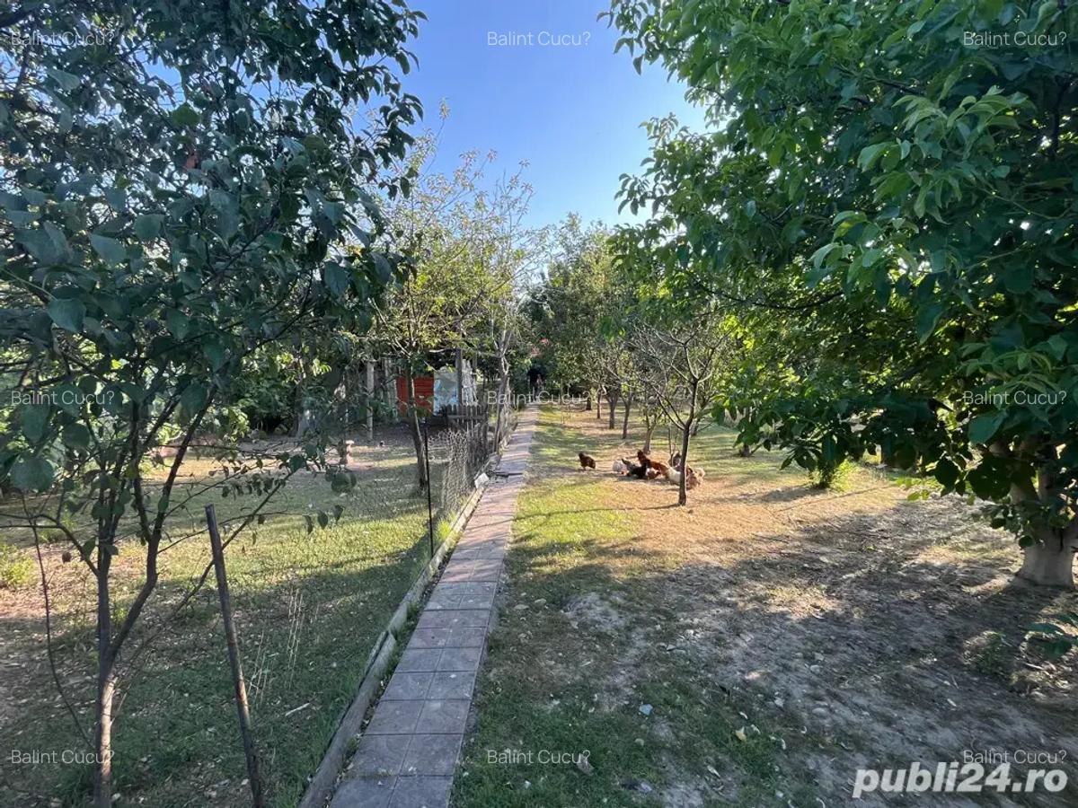 Vand Casa in Lugoj str Stefan cel Mare - 5