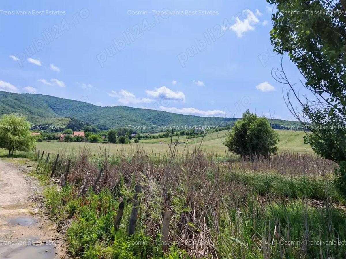 Teren intravilan 7.800 mp Marcu? sau loturi incepand cu 7.000 euro. - 1