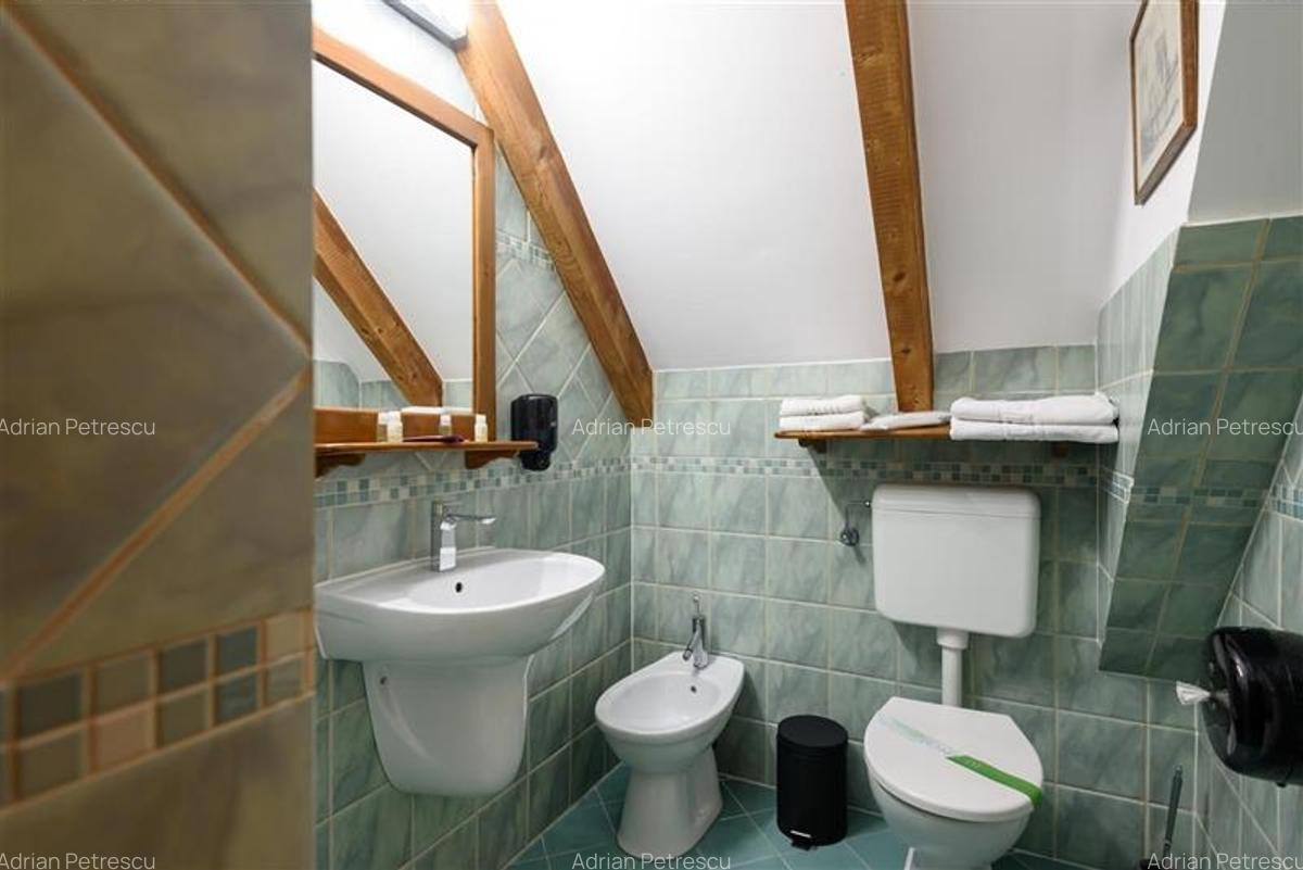 Langa Castelul Bran: Pensiune + restaurant + transfer afacere activa - 26