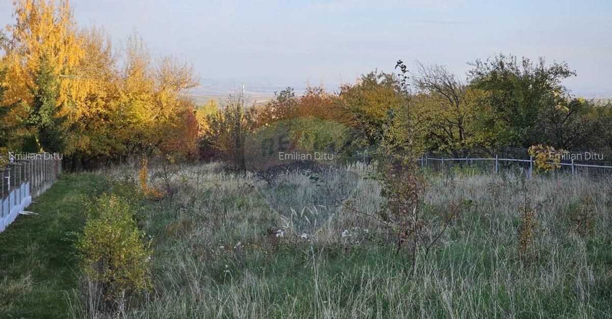 Teren intravilan 1,450mp Ilisesti / DN 17-Suceava - 11