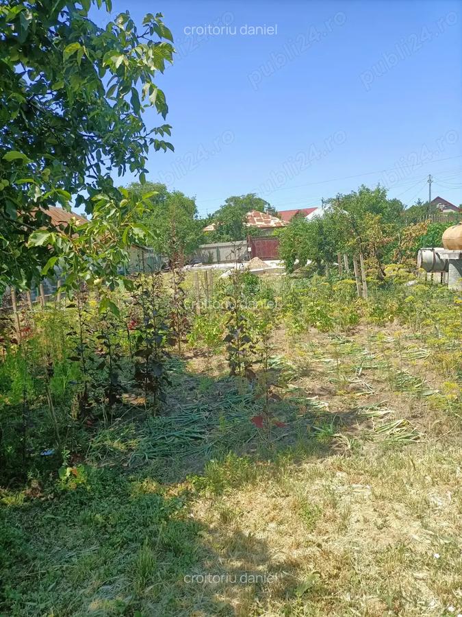 Vand casa si teren in HUSI - 3
