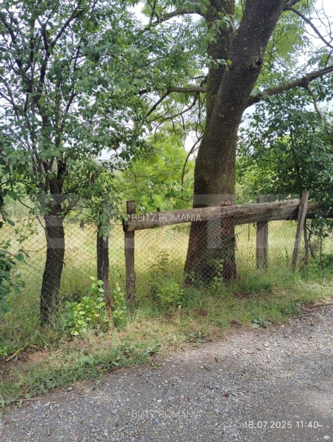 Casa la tara de vanzare, teren de 6000 mp - Cacova Ierii, Comuna Iara, Cluj - 3