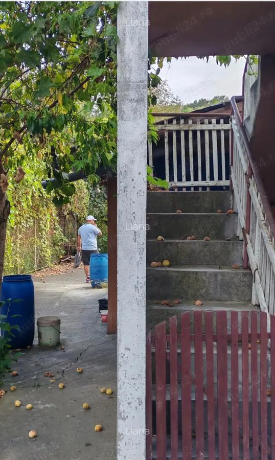 Vand casa cu etaj in localitatea Lapu?nic - 8