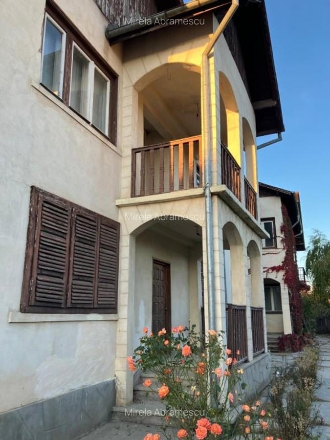 Proprietate completă în inima Dâmboviței – Casă, curte și livadă pe 1800 mp - 1