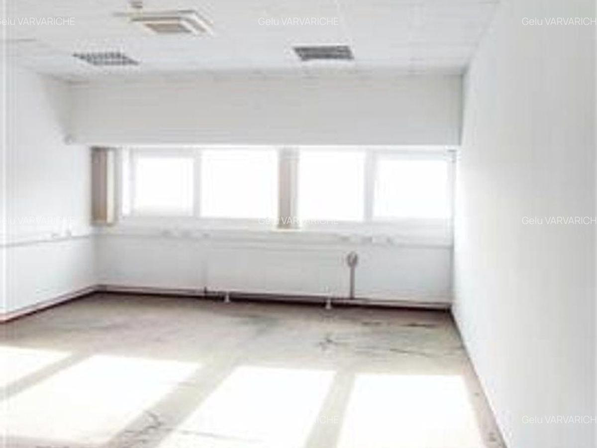 Hale in parcul Roman sau tractorul - 7