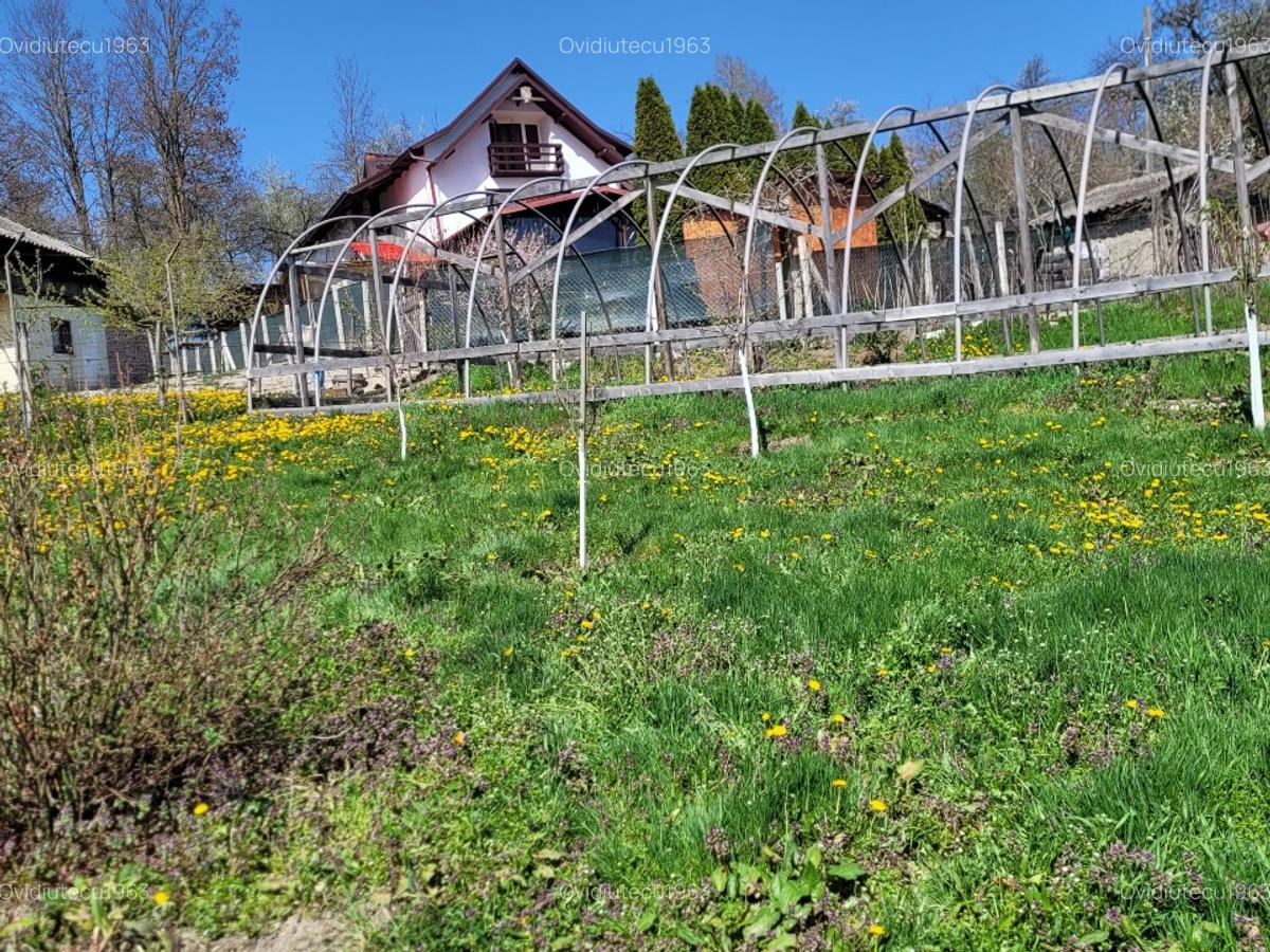 Vand casa la munte ,cu utilitati(apa,en.el)amenajata semirustic,panorama super.! - 7 Vand casa la munte ,cu utilitati(apa,en.el)amenajata semirustic,panorama super.! - 7