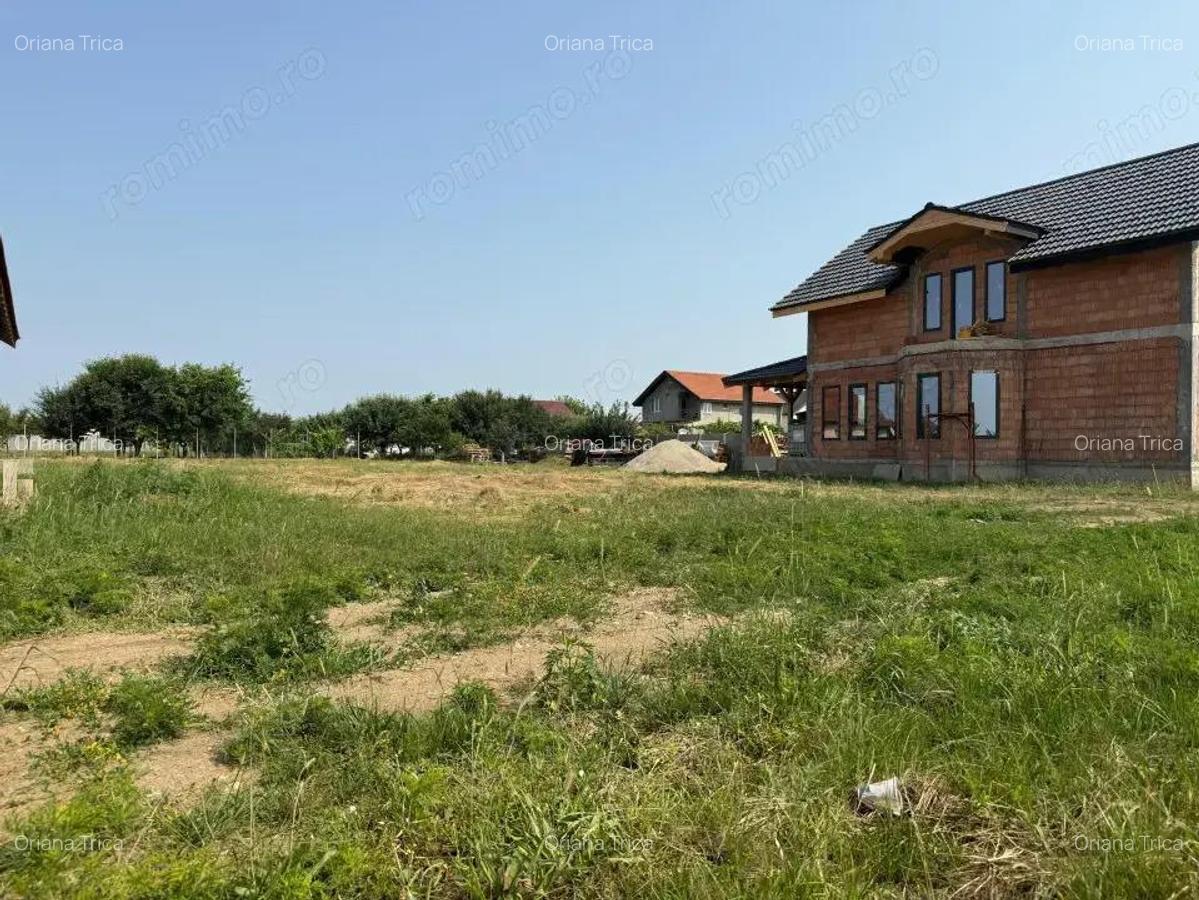 Inchiriem viitorul pe metru patrat, teren 800 mp, intravilan-Peciu Nou - 2 Inchiriem viitorul pe metru patrat, teren 800 mp, intravilan-Peciu Nou - 2