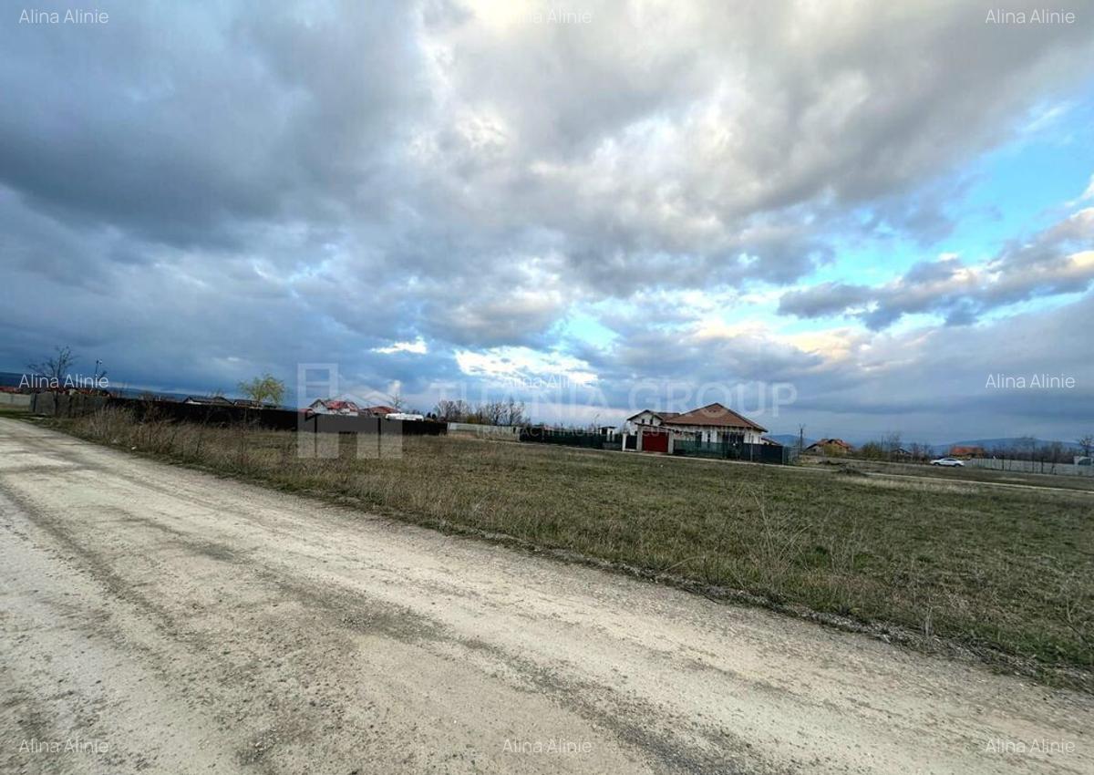 Teren intravilan CU PUZ Harman, langa Fish4Life, 2 frontu... - 10