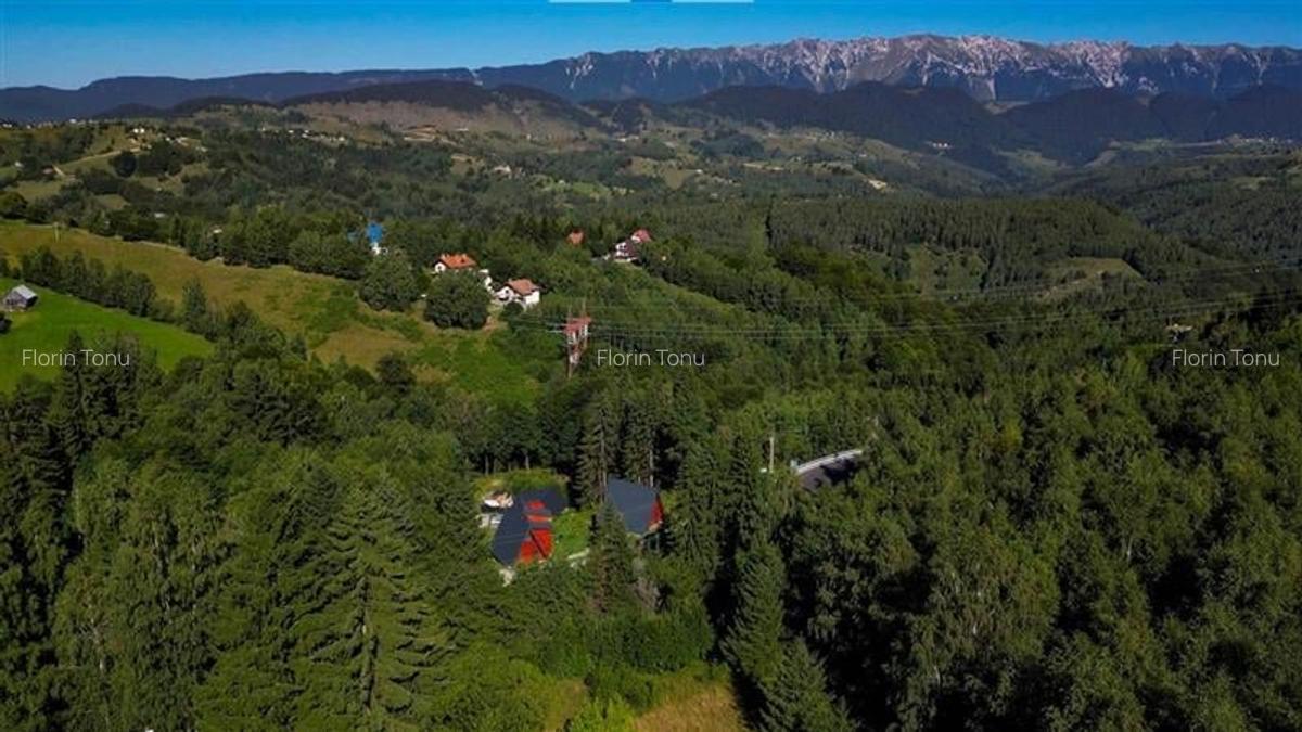 A Frame cu vedere la Piatra Craiului Moieciu, Brasov - 31
