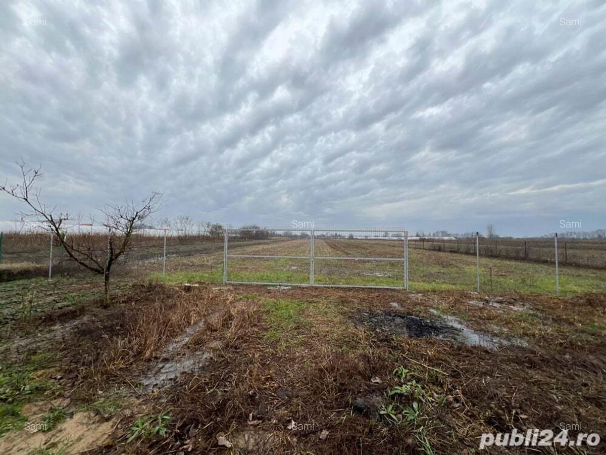 Vand casa noua + teren generos 1ha Micula Satu Mare - 10