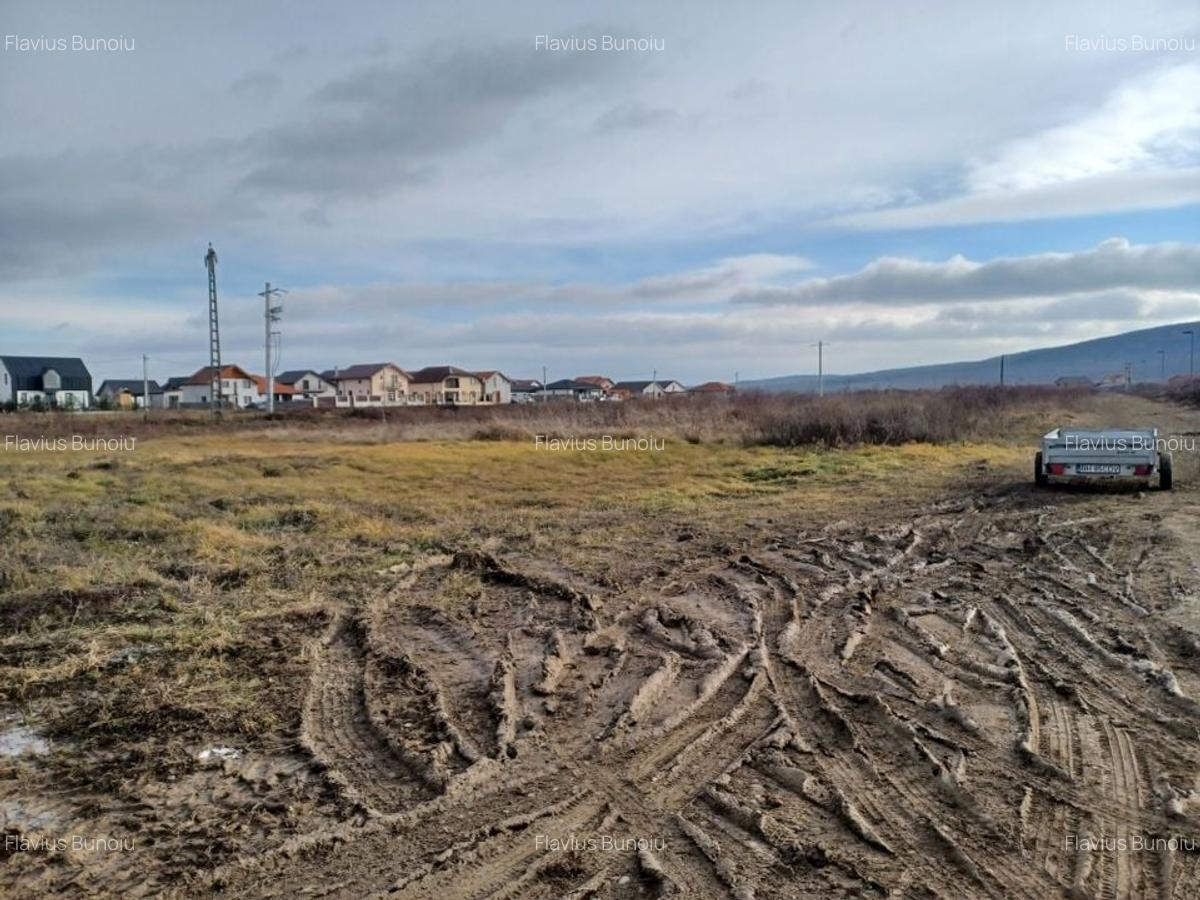Teren Construcții intravilan de 812 mp, în Rontău - 6