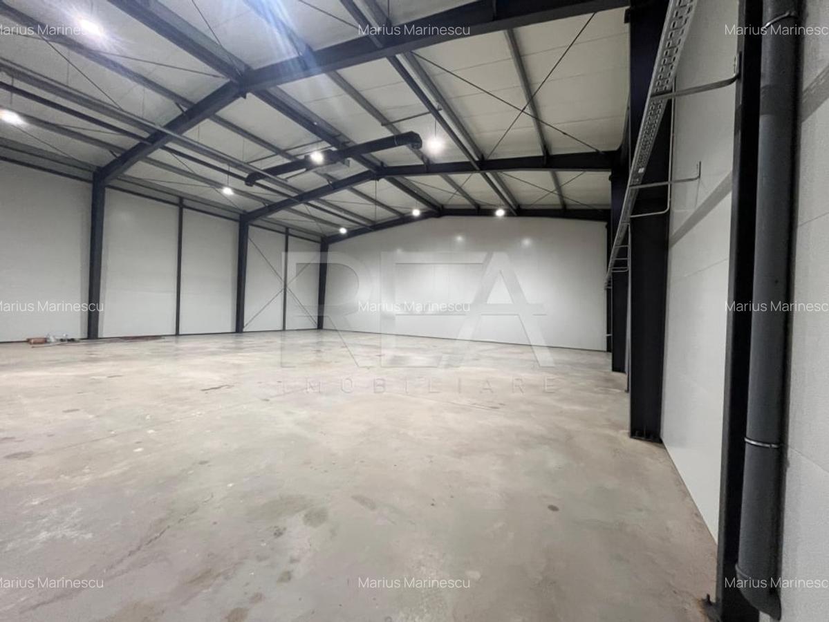 Hala de inchiriat 470mp Chiajna Centura - 3