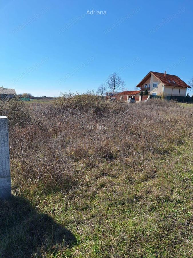 Zona Metro 2...786mp ...72000 eur - 4