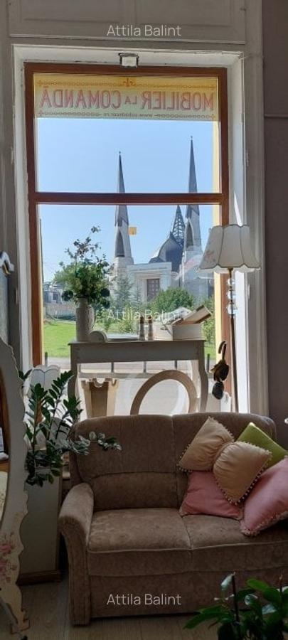 Dorobanților SAD 264 mp 230000 euro - 2