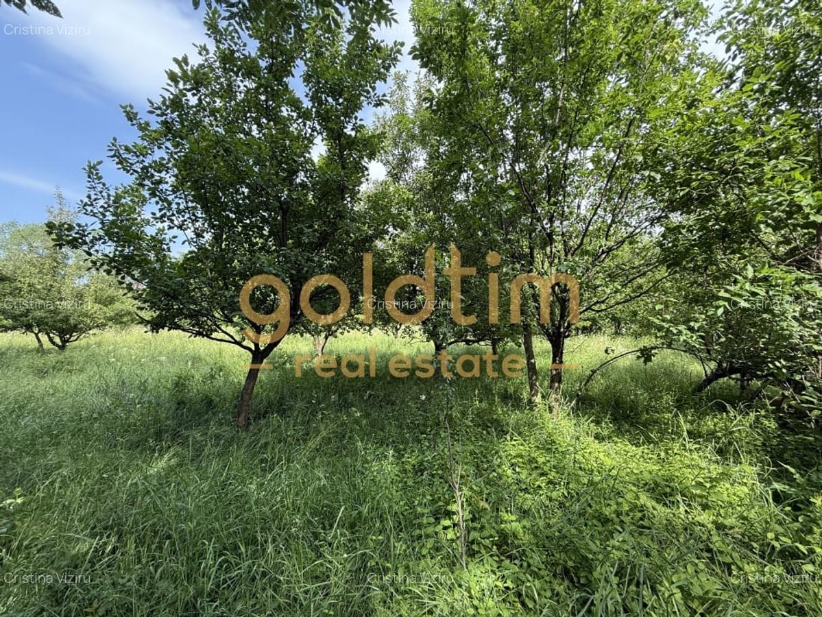 CASA IN ZONA LINISTITA/MOBILATA/UTILATA/TEREN IMPRESIONANT 5000MP/CORNU/PRAHOVA - 4