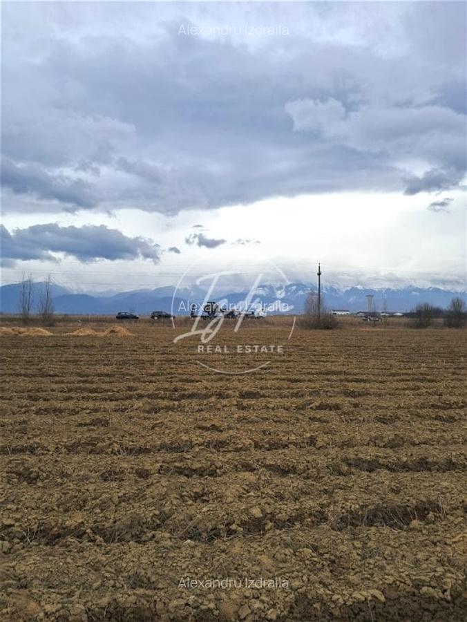 Teren extravilan Avrig - 7