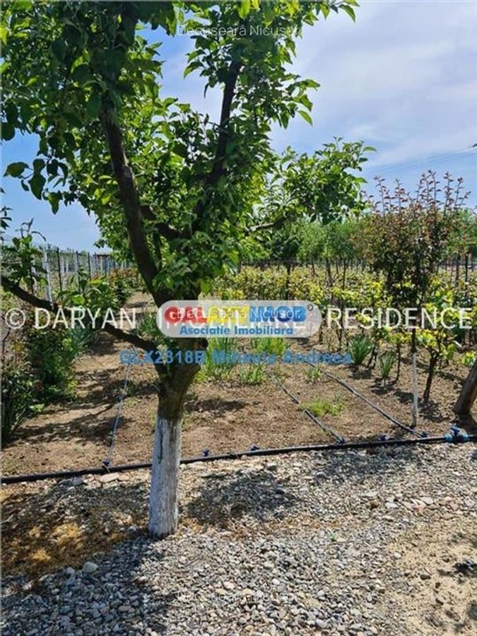 Teren in Poienari Apostoli, 21 E/mp, Avantajos, DN1, 34.500 euro - 11