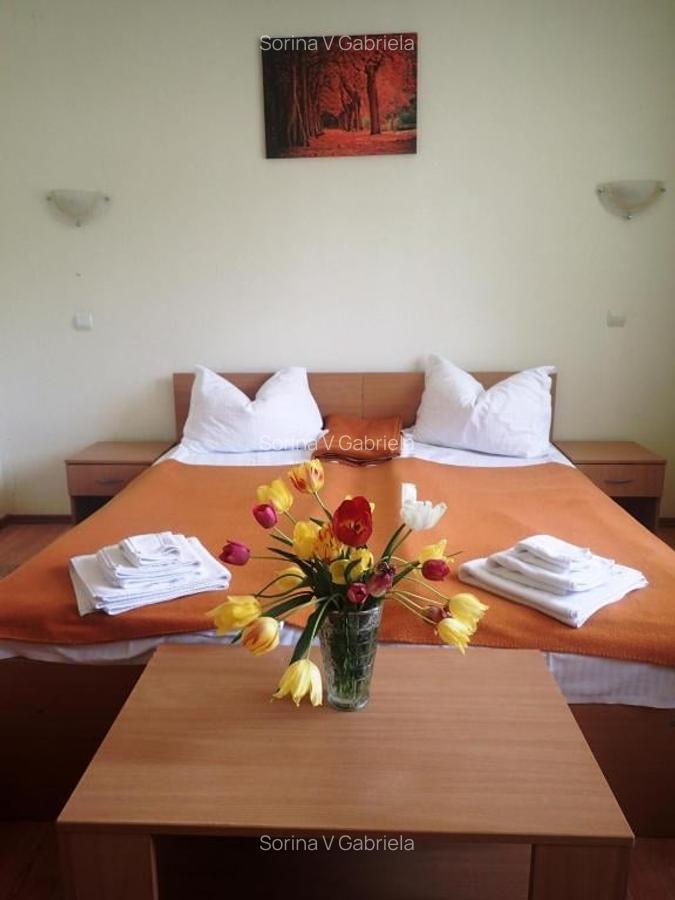 Pensiune functionala arhitectura deosebita Buzias - 9