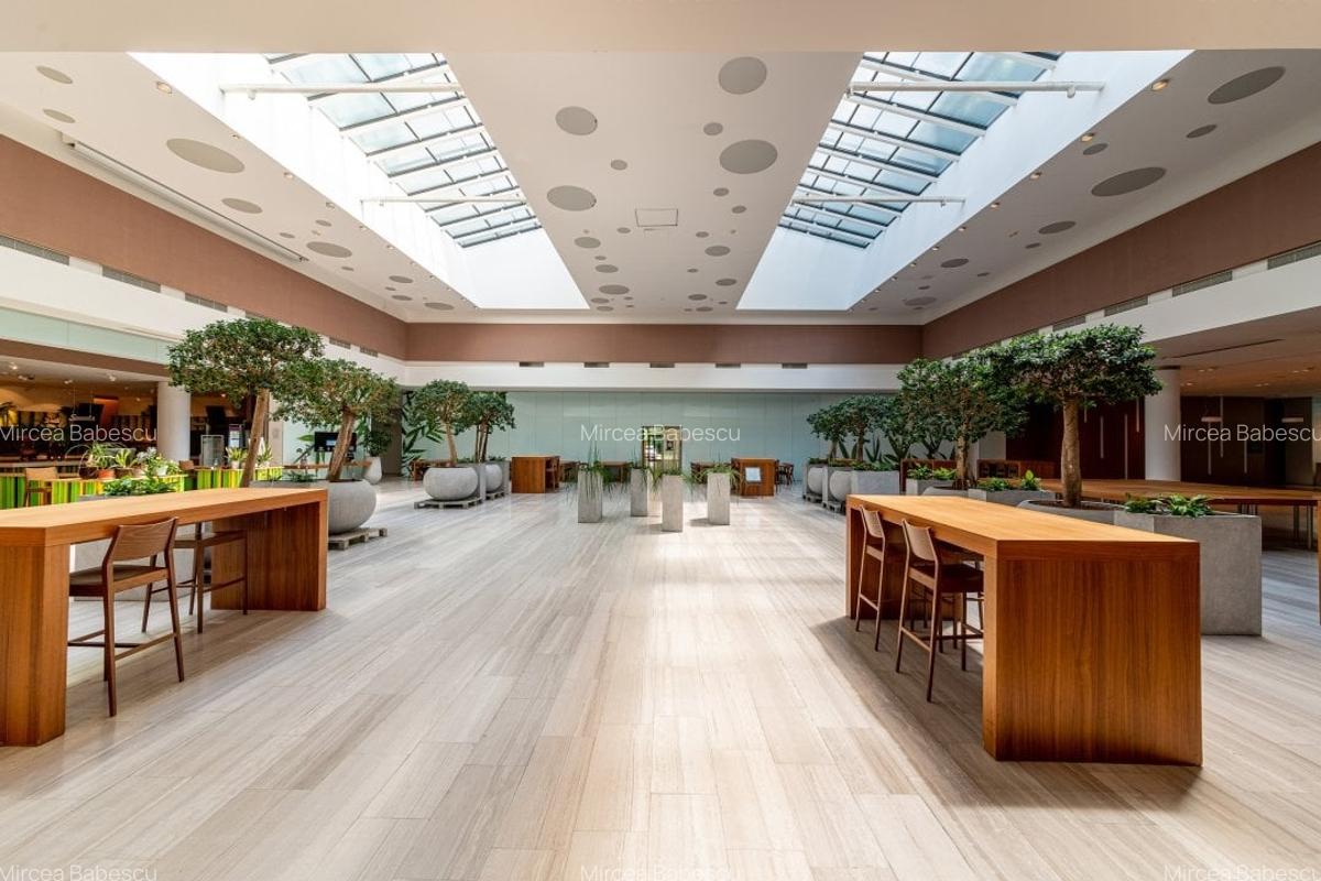 Inchiriere spatiu showroom in Platinum Business & Convention Center - Baneasa - 5