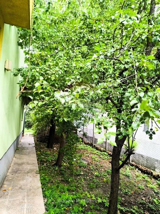 Casa / Vila in zona Dambul Rotund - 4
