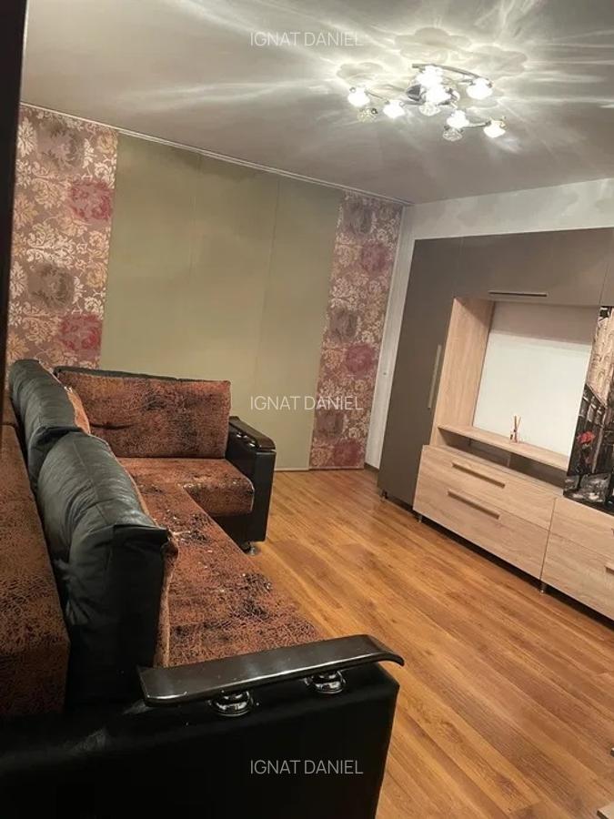 Apartament cu 2 camere, decomandat, PET FRIENDLY, zona Nicolina - 4