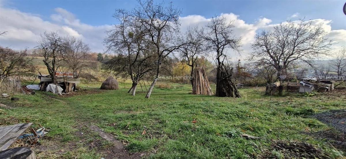 RECO Teren intravilan in Borod, Bihor 1750mp - 9