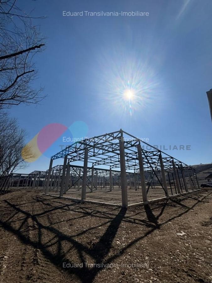Hale de vanzare - 600 mp, open space, acces TIR, zona intrare Baciu - 5 Hale de vanzare - 600 mp, open space, acces TIR, zona intrare Baciu - 5